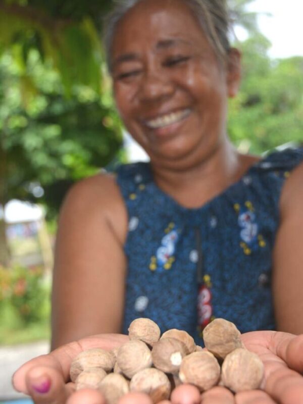 Nutmeg Farmer (Copy)