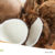 Supplier-of-Coconut-Commodities-and-Its-Derivatives