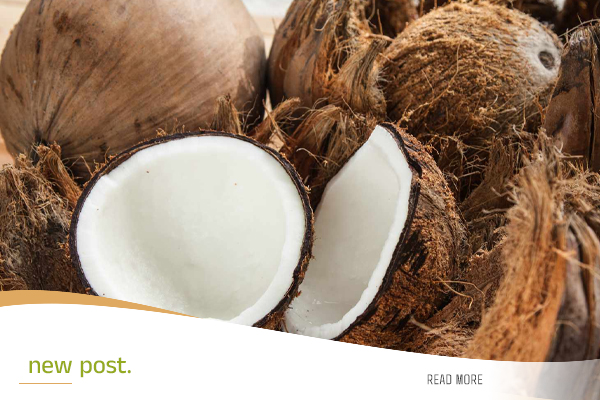 Supplier-of-Coconut-Commodities-and-Its-Derivatives