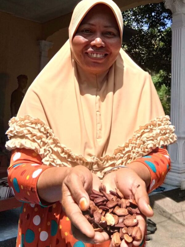 Walnut Farmer (Copy)