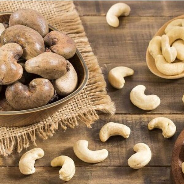 Cashew